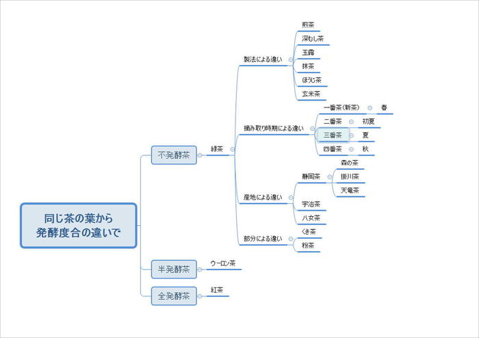 お茶の家系図.JPG